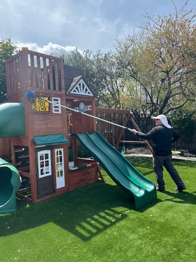 web removal web removal